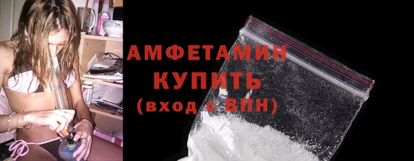 прущие грибы Богородицк