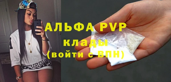 ГАЛЛЮЦИНОГЕННЫЕ ГРИБЫ Богданович