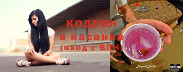 ГАЛЛЮЦИНОГЕННЫЕ ГРИБЫ Богданович