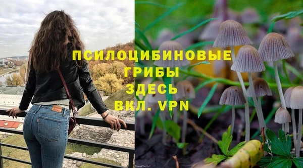 соль ск Воткинск