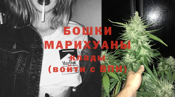 ГАЛЛЮЦИНОГЕННЫЕ ГРИБЫ Белоозёрский