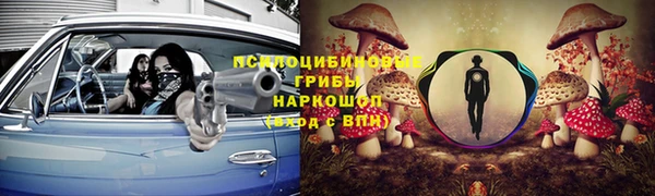 тгк Беломорск
