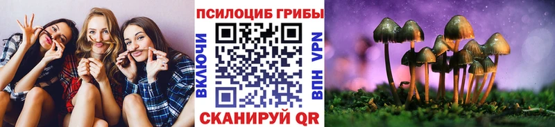 Галлюциногенные грибы Psilocybine cubensis  hydra сайт  Городовиковск 